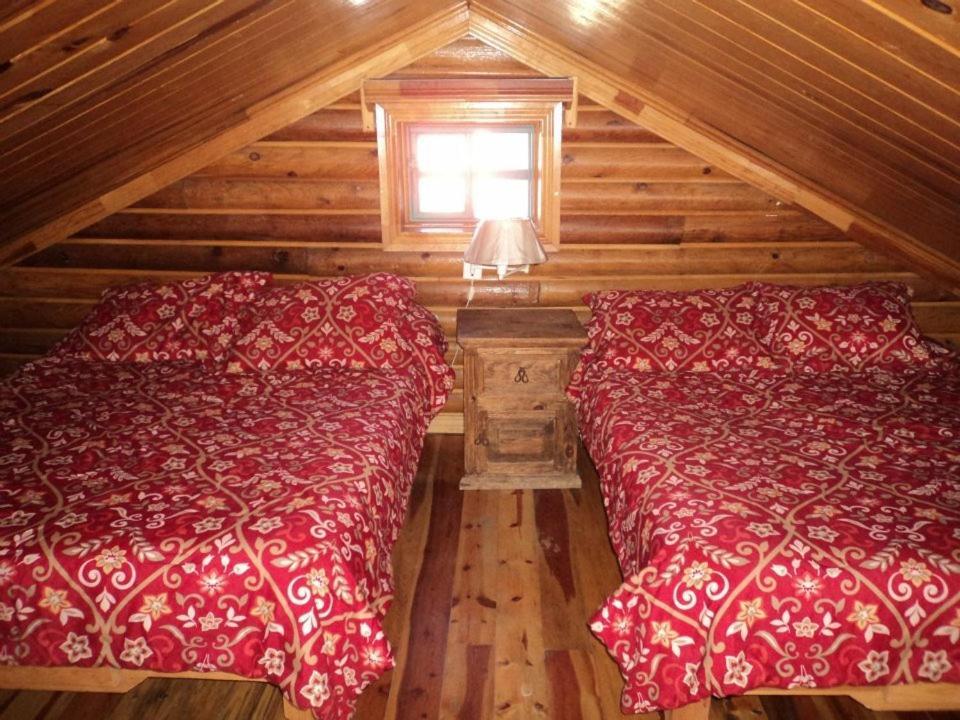 Cabanas Taramuri Creel Zimmer foto